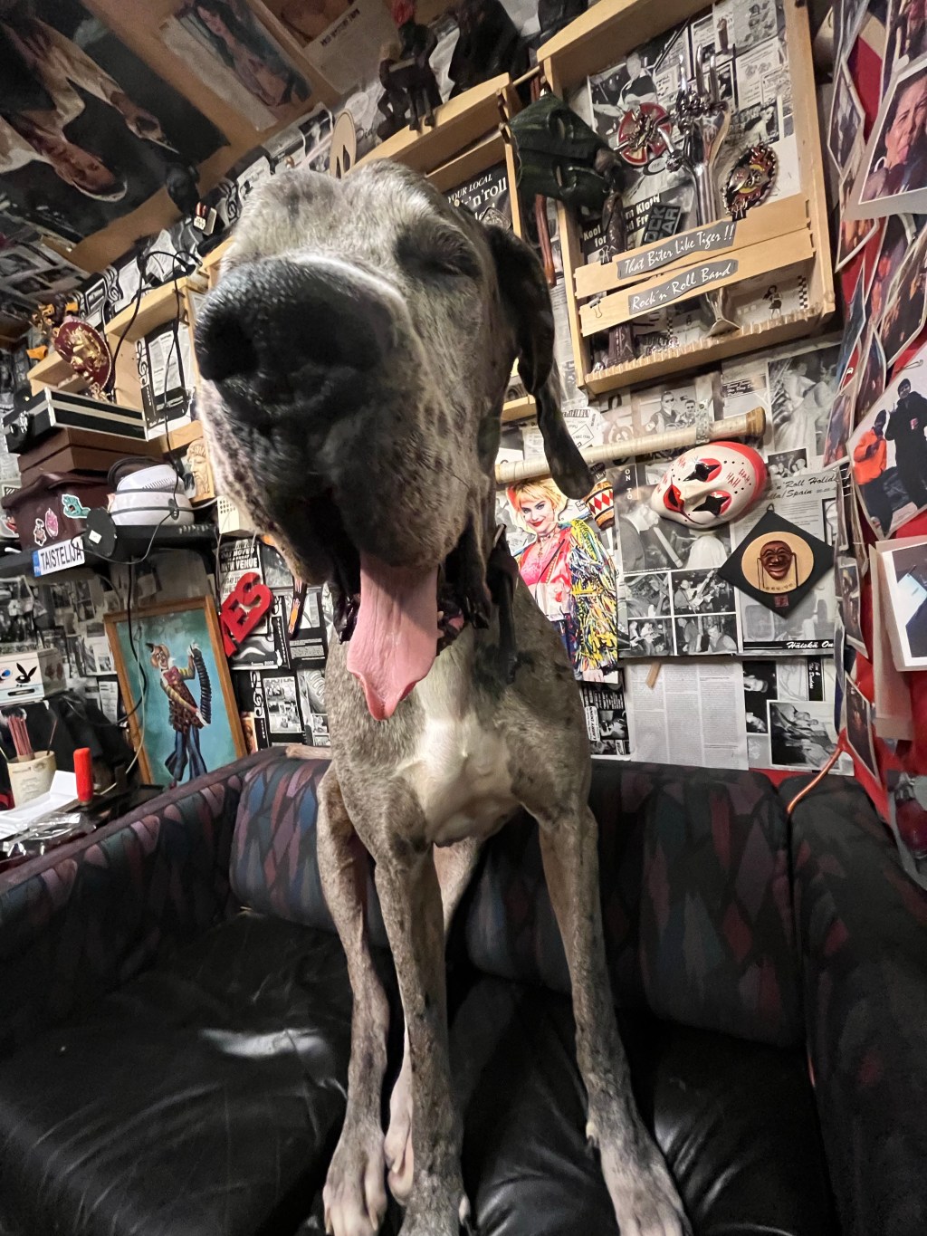 • SEARCH OF THE AUTUMN&nbsp;•